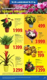 Lidl akciós újság hét 44 Oldal 21