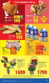 Lidl akciós újság hét 44 Oldal 61