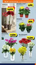 ALDI akciós újság hét 44 Oldal 7