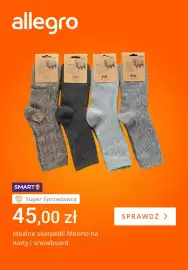 Allegro gazetka tydzień 43 Strona 4: Idealne skarpetki Merino na narty i snowboard €45,00