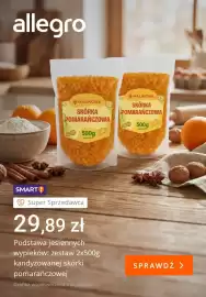 Allegro gazetka tydzień 43 Strona 5: Syrop dyniowy Real Infused Exotics €43,00