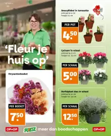 Poiesz folder week 44 Pagina 32: Cyclaam in schaal €5,00, Amaryllisbol in terracotta €4,50