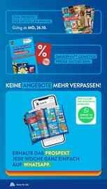 Aldi Süd Prospekt woche 46 Seite 22