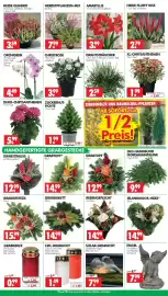 Wreesmann Prospekt Seite 3: REBENGEFLECHT €14,99, ISLANDMOOS-HERZ* €14,99