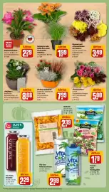 REWE DE tilbudsavis uge 44 Side 7