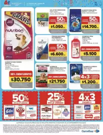 Catálogo Carrefour Página 25