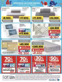 Catálogo Carrefour Página 30