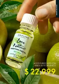 Catálogo Oriflame Página 31