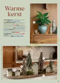 Intratuin folder week 44 Pagina 11: Decoratieschaal €12,99, Boom €2,99