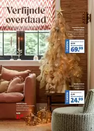 Intratuin folder week 44 Pagina 9: Decoratieve boom Pampas Spruce. €69,99, Verlicht cadeau. €2,99