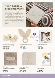 Prenatal folder Pagina 64: Klein cadeau, groot moment, Oei ik groei €32,99