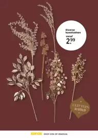 Xenos folder Pagina 35: Diverse kunsttakken €2,99
