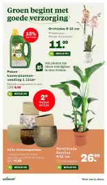 Welkoop folder week 44 Pagina 34: Orchidee €11,99, Alle binnenpotten €17,25