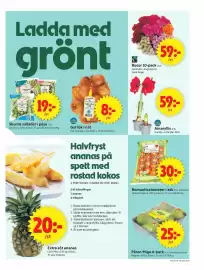 ICA Supermarket reklamblad vecka 44 Sida 5: Romanticatomater i ask €30,00, Ica Amaryllis €59,00