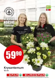 Spar uke 44 Side 13
