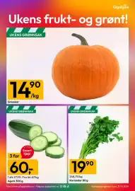 Gigaboks kundeavis uke 44 Side 11: Gresskar €14,90, Agurk €60,00