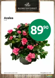 Joker kundeavis Side 7: Azalea €89,90