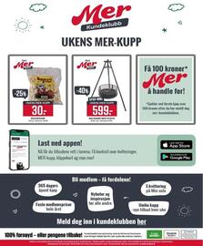 Europris kundeavis uke 44 Side 14: Baconsvor €30,00, Bålpanne med stativ €599,00