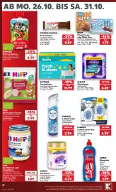 Kaufland Prospekt Seite 46