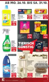 Kaufland Prospekt Seite 47