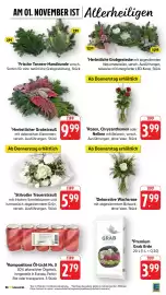 E-Center Prospekt woche 44 Seite 11