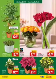 Netto Marken-Discount DE folder week 44 Pagina 10