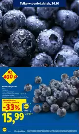 Lidl gazetka Strona 10: Borówki amerykańskie €15,99