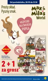 Lidl gazetka Strona 21