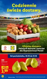 Lidl gazetka Strona 38