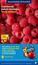 Lidl gazetka Strona 43