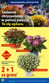 Lidl gazetka Strona 44