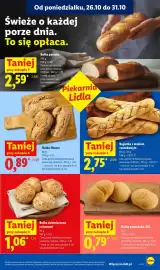 Lidl gazetka Strona 51