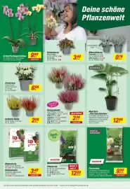 Toom Baumarkt Prospekt Seite 4: Pflanzerde €12,99, Garden Girls® Knospenheide €2,29