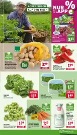 Wasgau Prospekt woche 44 Seite 9: Kopfsalat €1,29, Terra Natura Spitzpaprika rot €1,99
