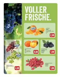 Feneberg Prospekt woche 44 Seite 10
