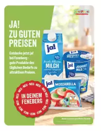 Feneberg Prospekt woche 44 Seite 13
