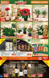 Norma Prospekt woche 45 Seite 14: Elefantenfuß XL „Beaucarnea recurvata“/Yucca 2 Stämmig €10,99