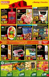 Norma Prospekt woche 45 Seite 9: Antipasti XXL Grüne €3,99, Camelion Batterien Plus Alkaline €7,99