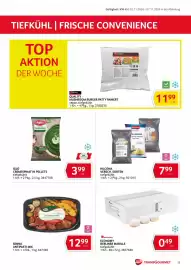 Transgourmet Flugblatt woche 45 Seite 13