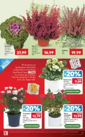 Catalog Kaufland săptămâna 44 Pagină 15