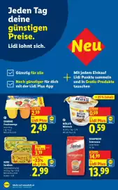 Lidl Flugblatt woche 44 Seite 8: DANONE Fruchtzwerge €2,49, Müller Milchreis €0,59