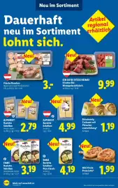 Lidl Flugblatt Seite 45