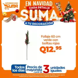Folleto Suma Supermercados Página 13