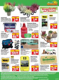 Herkules Baumarkt Prospekt woche 44 Seite 12: Aqualine EcoSilent Eiche Clay €11,99, Schöner Wohnen Polarweiss €46,99