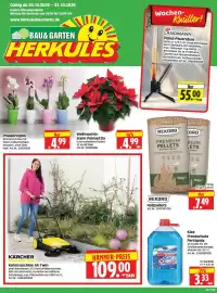 Herkules Baumarkt Prospekt woche 44 Seite 1: KÄRCHER Kehrmaschine S4 Twin €109,00, Weihnachtsstern Poinsettia €4,99