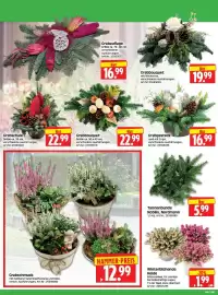 Herkules Baumarkt Prospekt woche 44 Seite 2: Grabschmuck €12,99, Tannenbunde Nobilis, Nordmann €5,99