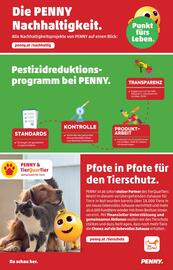 PENNY Flugblatt woche 44 Seite 36