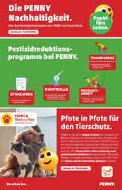 PENNY Flugblatt woche 44 Seite 36