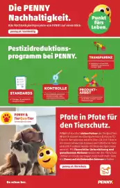 PENNY Flugblatt woche 44 Seite 36