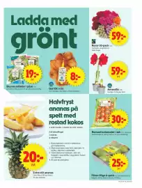 ICA Supermarket reklamblad vecka 44 Sida 5: Rosor 10-pack €59,00, Skurna sallader i påse €19,00